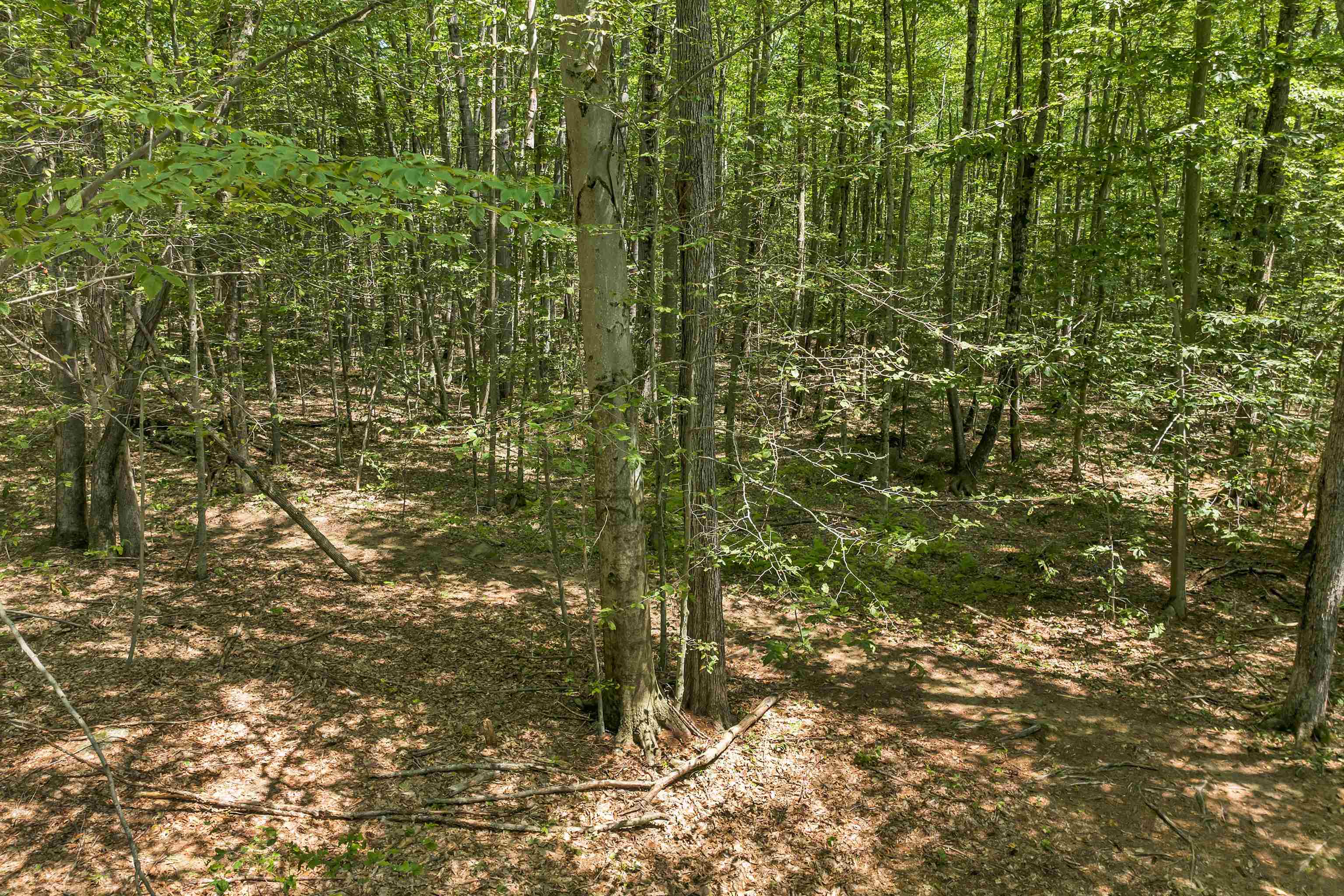 101-125 Winslow Road