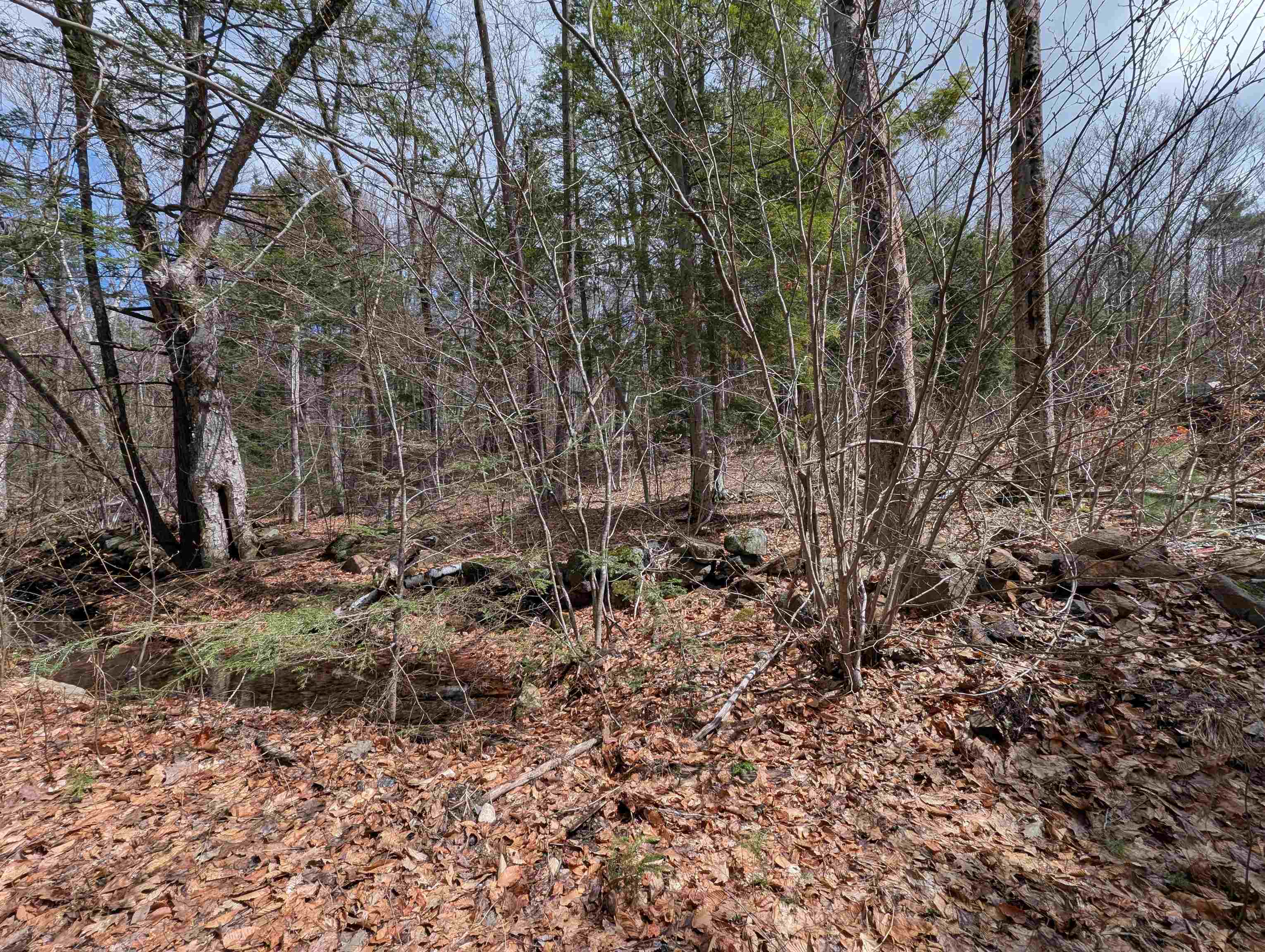 Map 41 Lot 21 Jewett Road