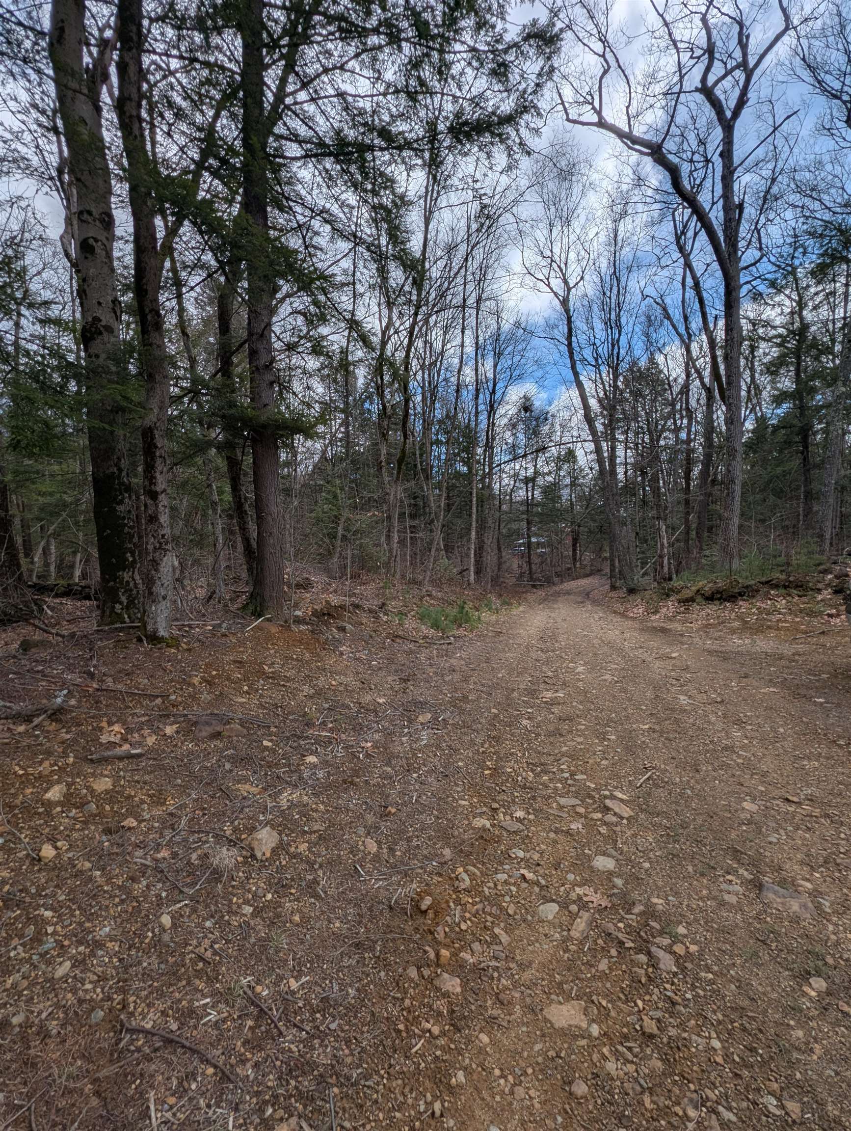 Map 41 Lot 21 Jewett Road
