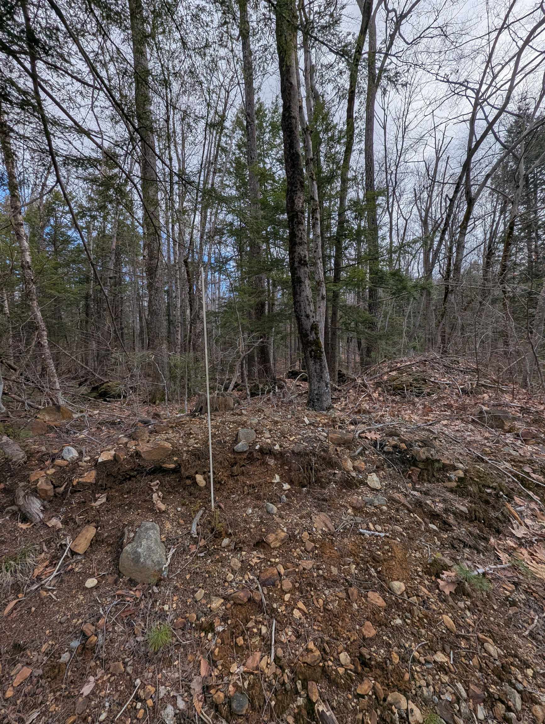Map 41 Lot 21 Jewett Road
