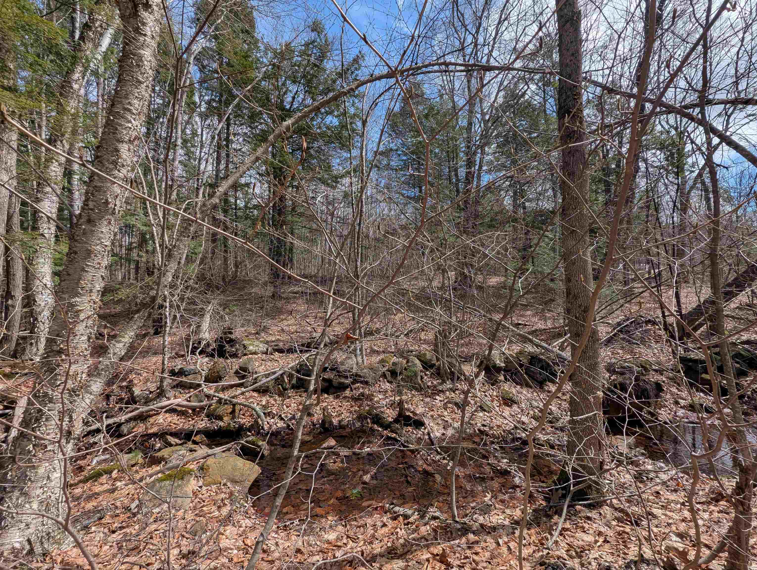 Map 41 Lot 21 Jewett Road