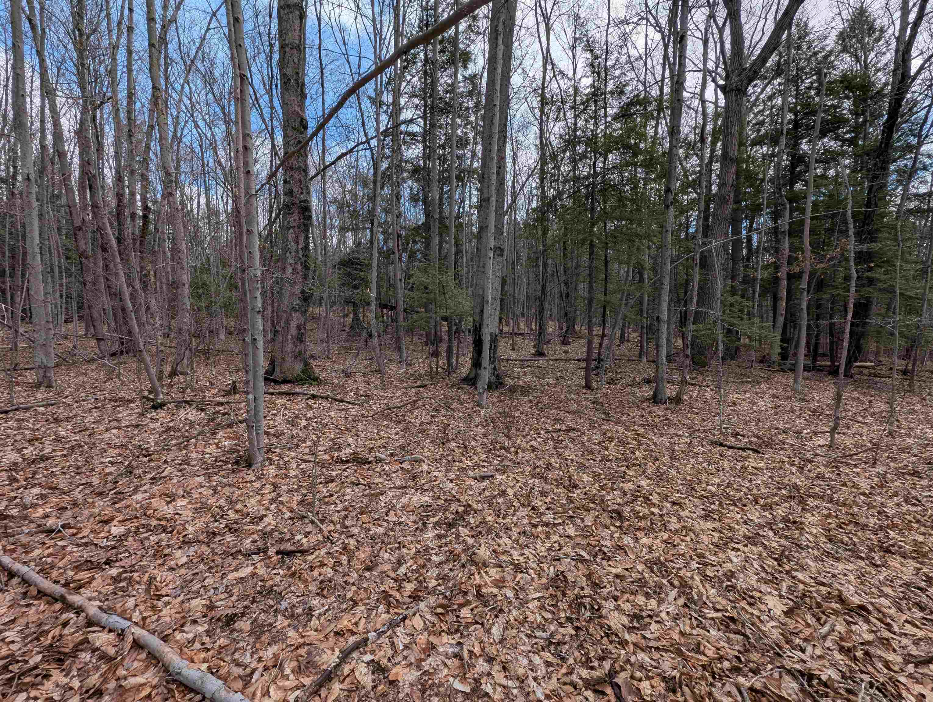 Map 41 Lot 21 Jewett Road