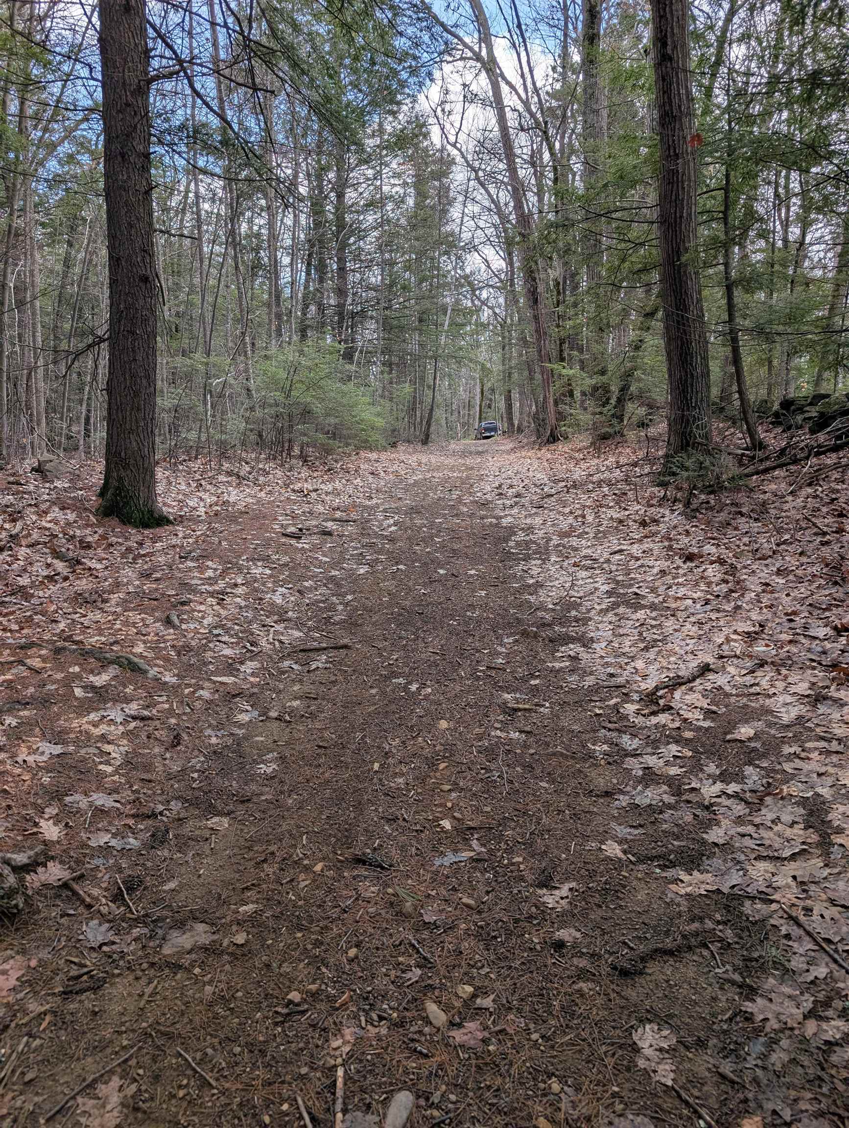 Map 41 Lot 21 Jewett Road
