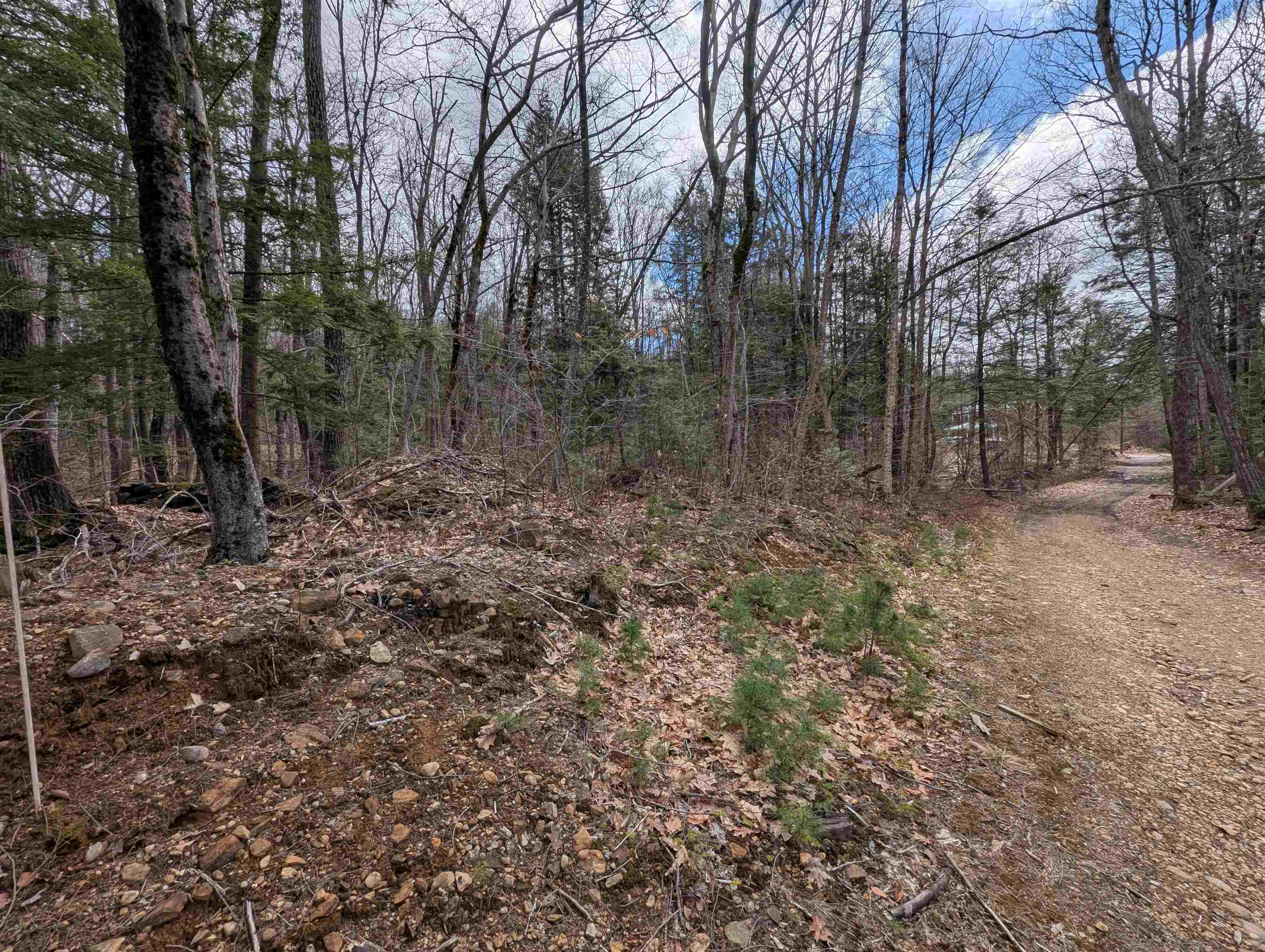 Map 41 Lot 21 Jewett Road