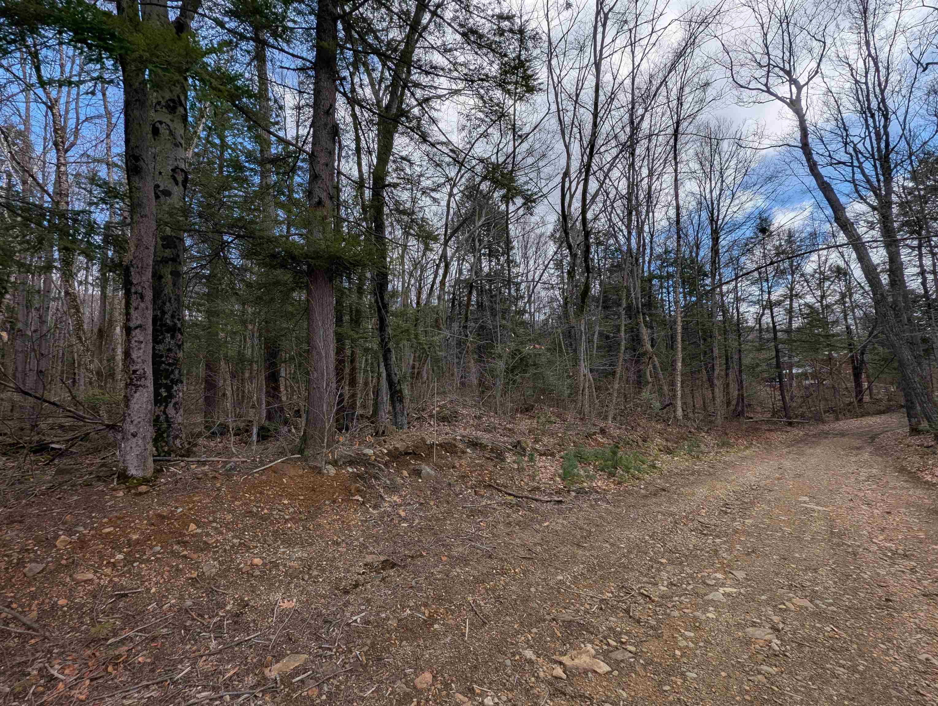 Map 41 Lot 21 Jewett Road
