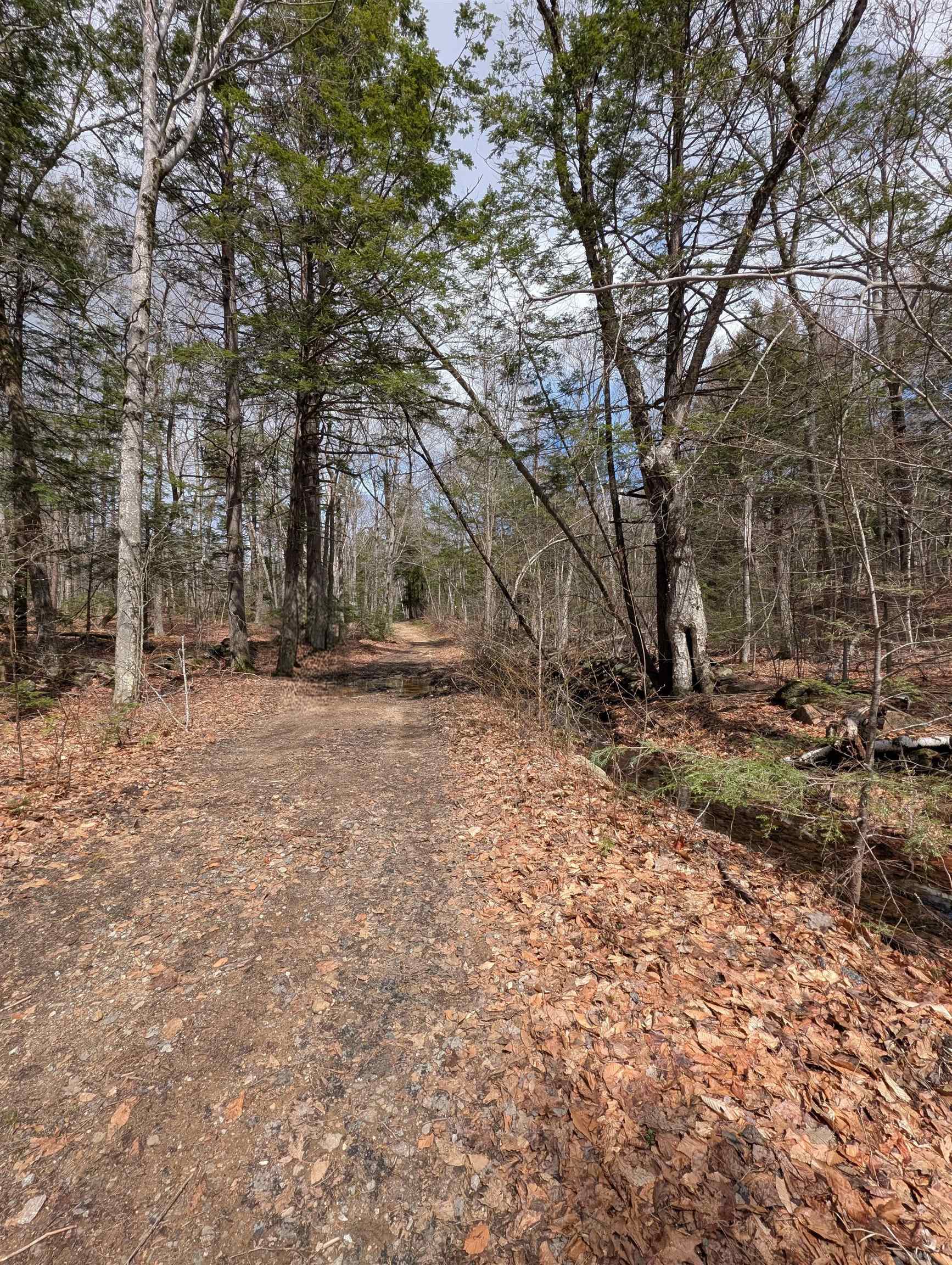 Map 41 Lot 21 Jewett Road
