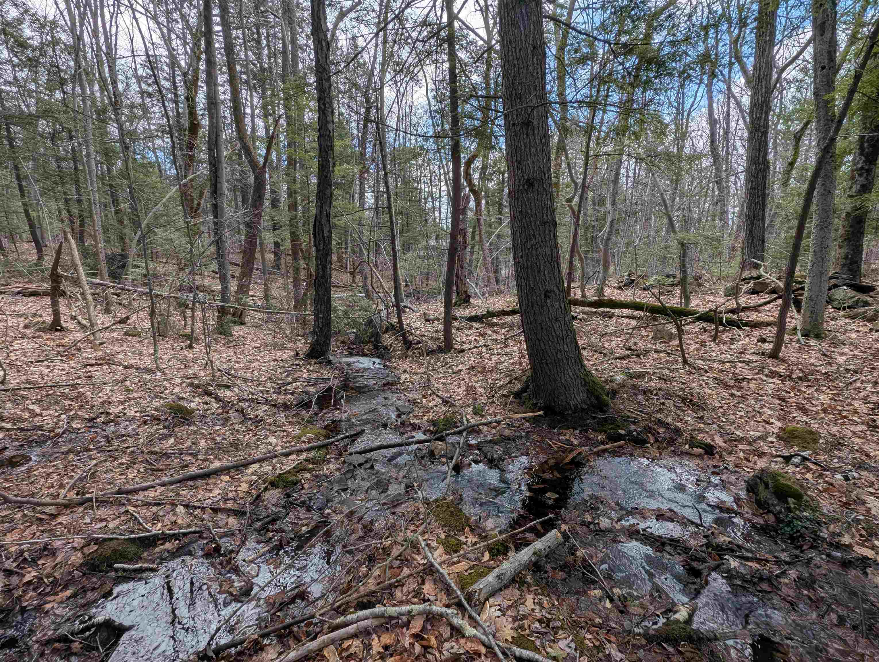Map 41 Lot 21 Jewett Road