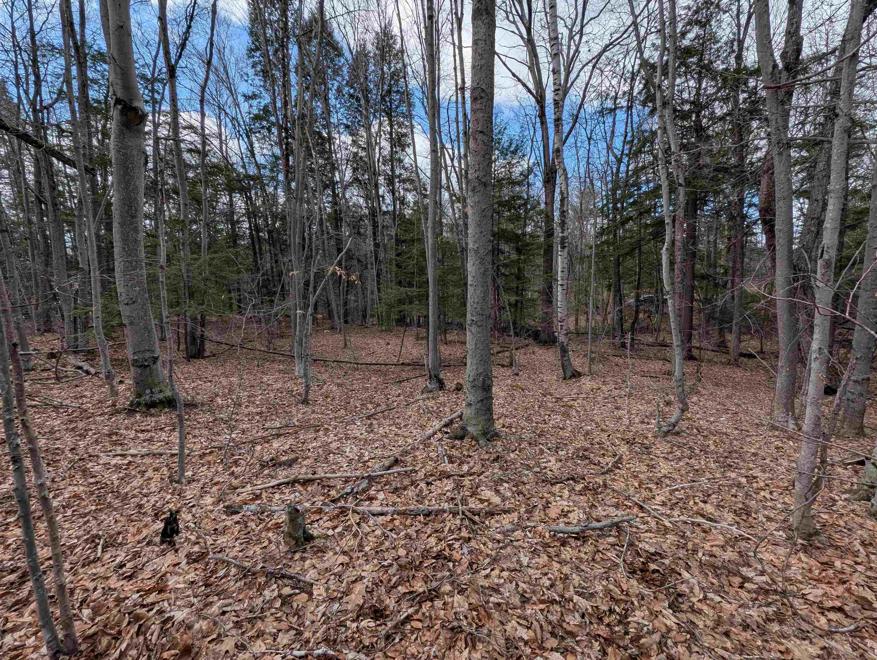 Map 41 Lot 21 Jewett Road
