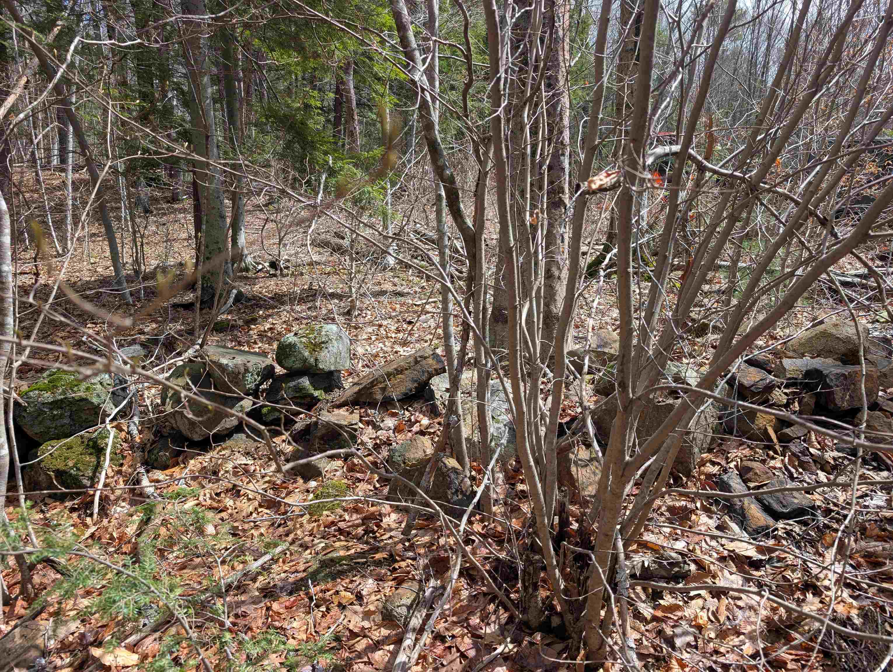 Map 41 Lot 21 Jewett Road