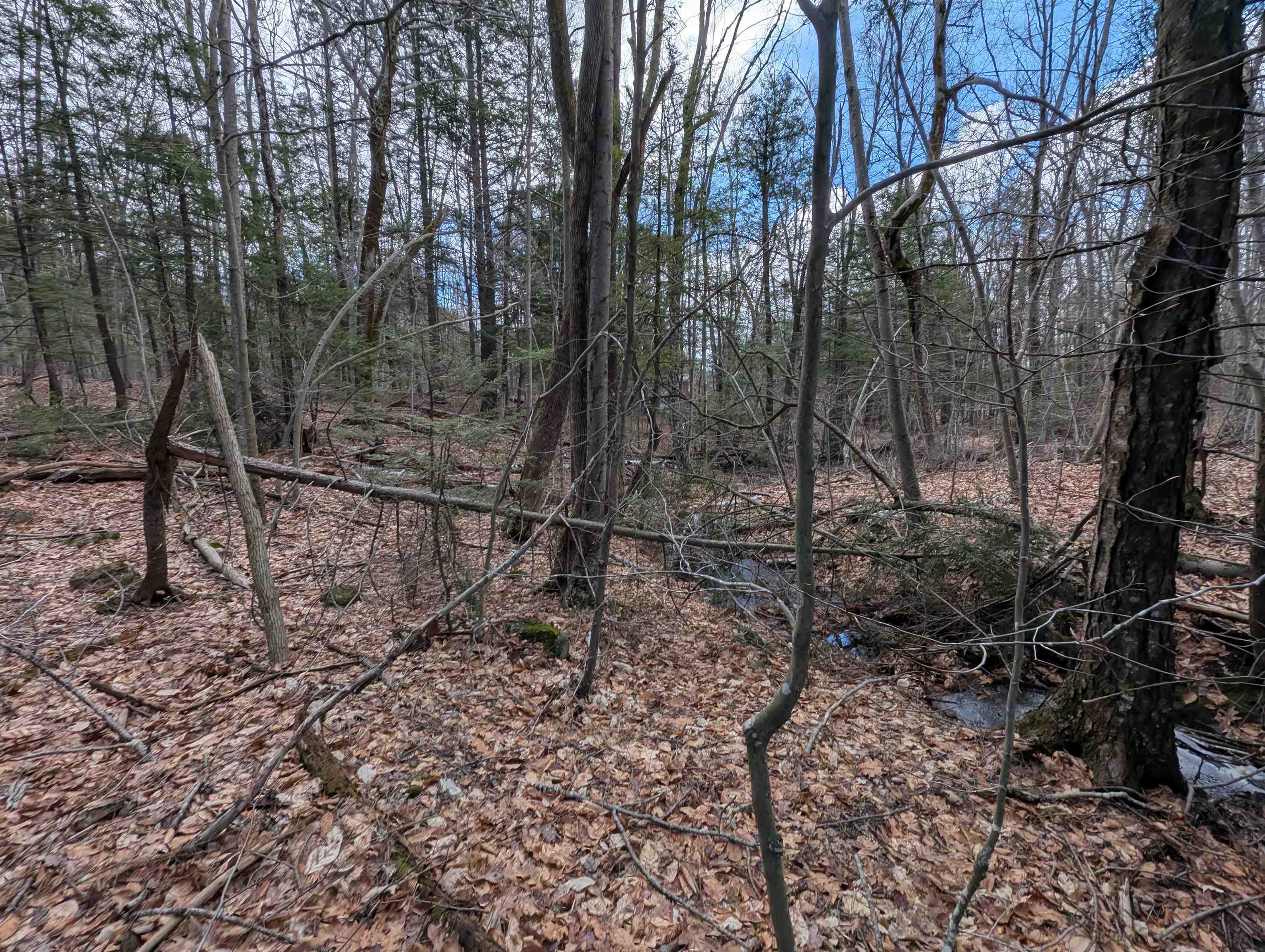 Map 41 Lot 21 Jewett Road
