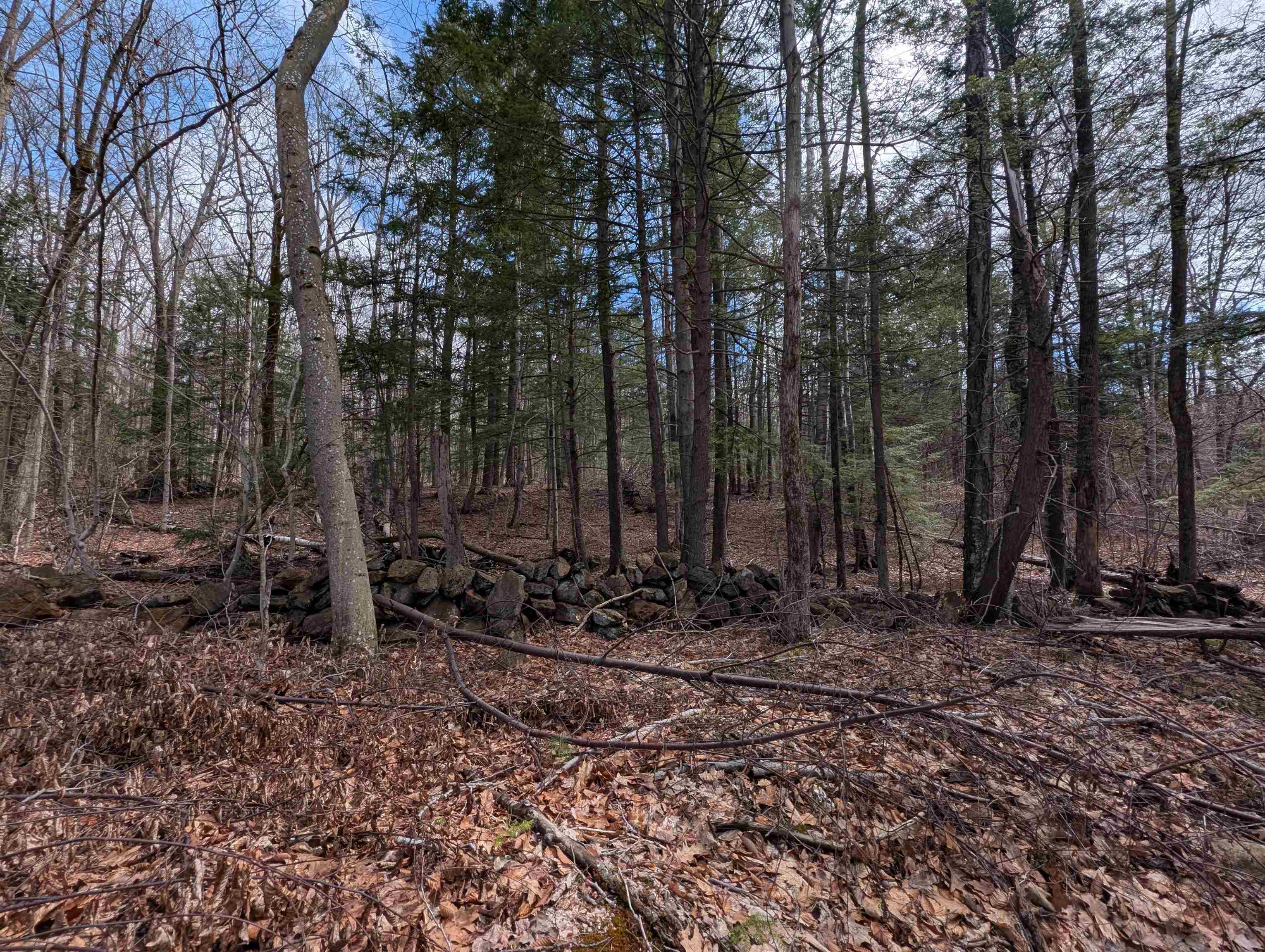 Map 41 Lot 21 Jewett Road