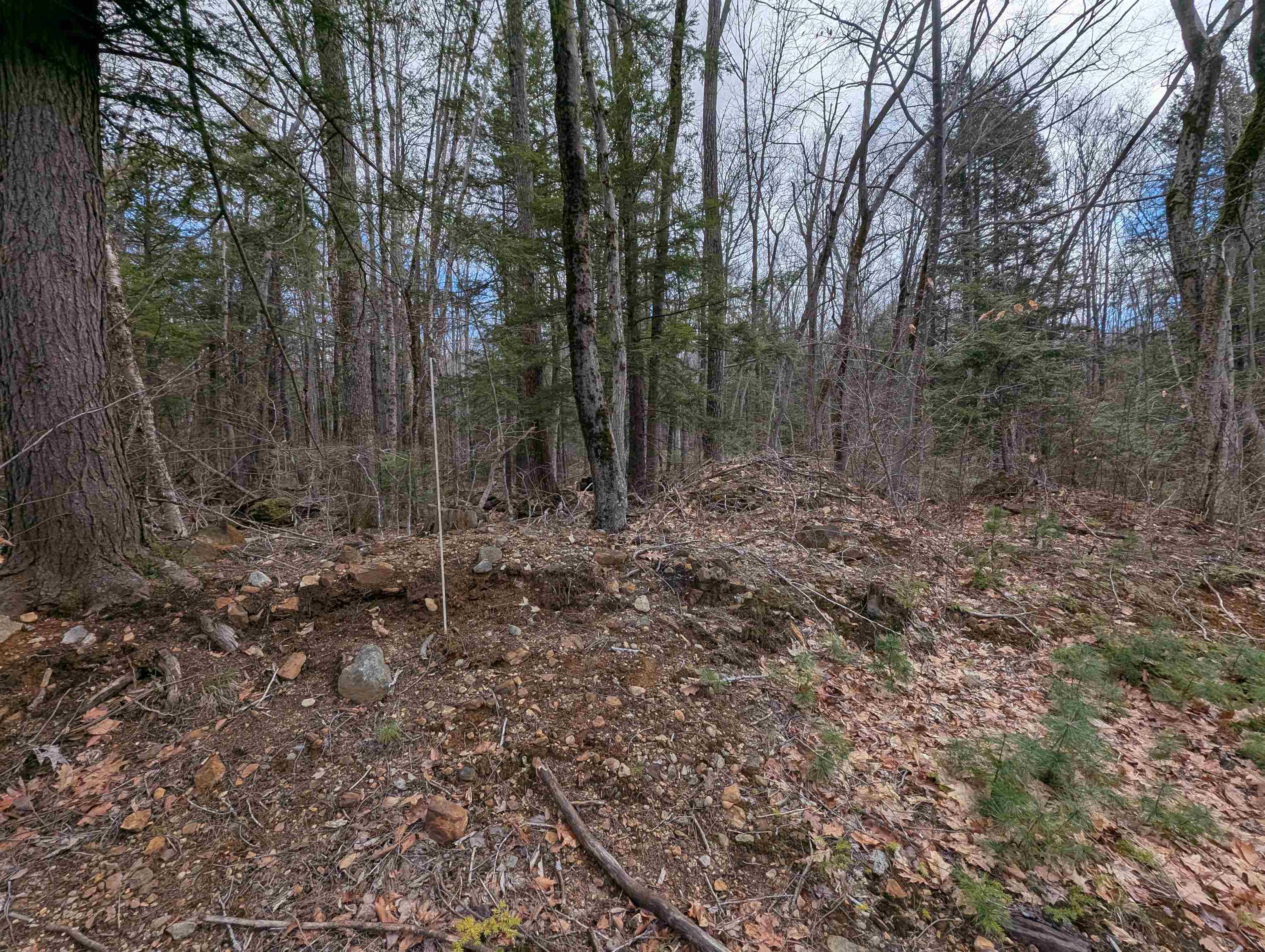 Map 41 Lot 21 Jewett Road