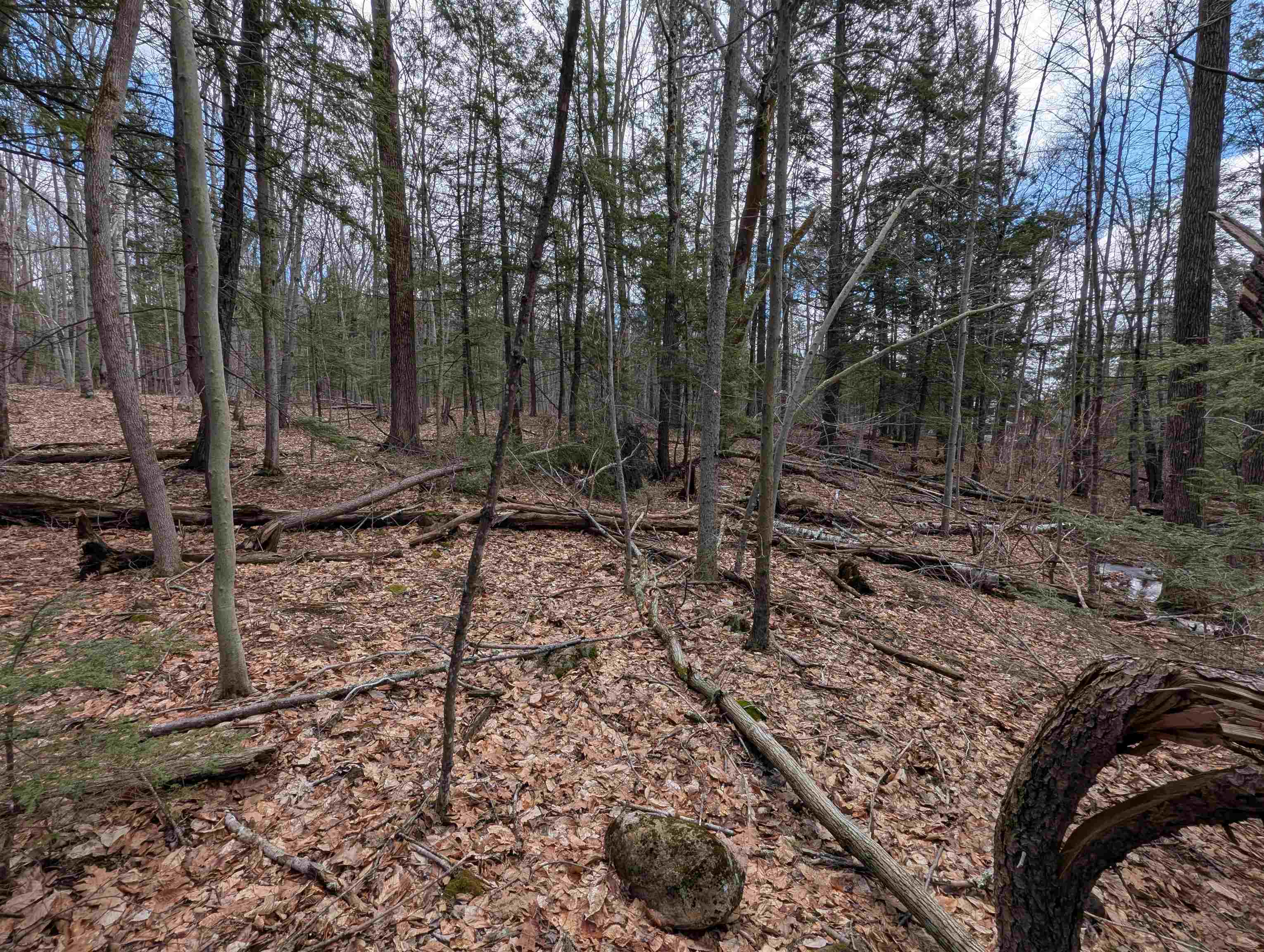 Map 41 Lot 21 Jewett Road