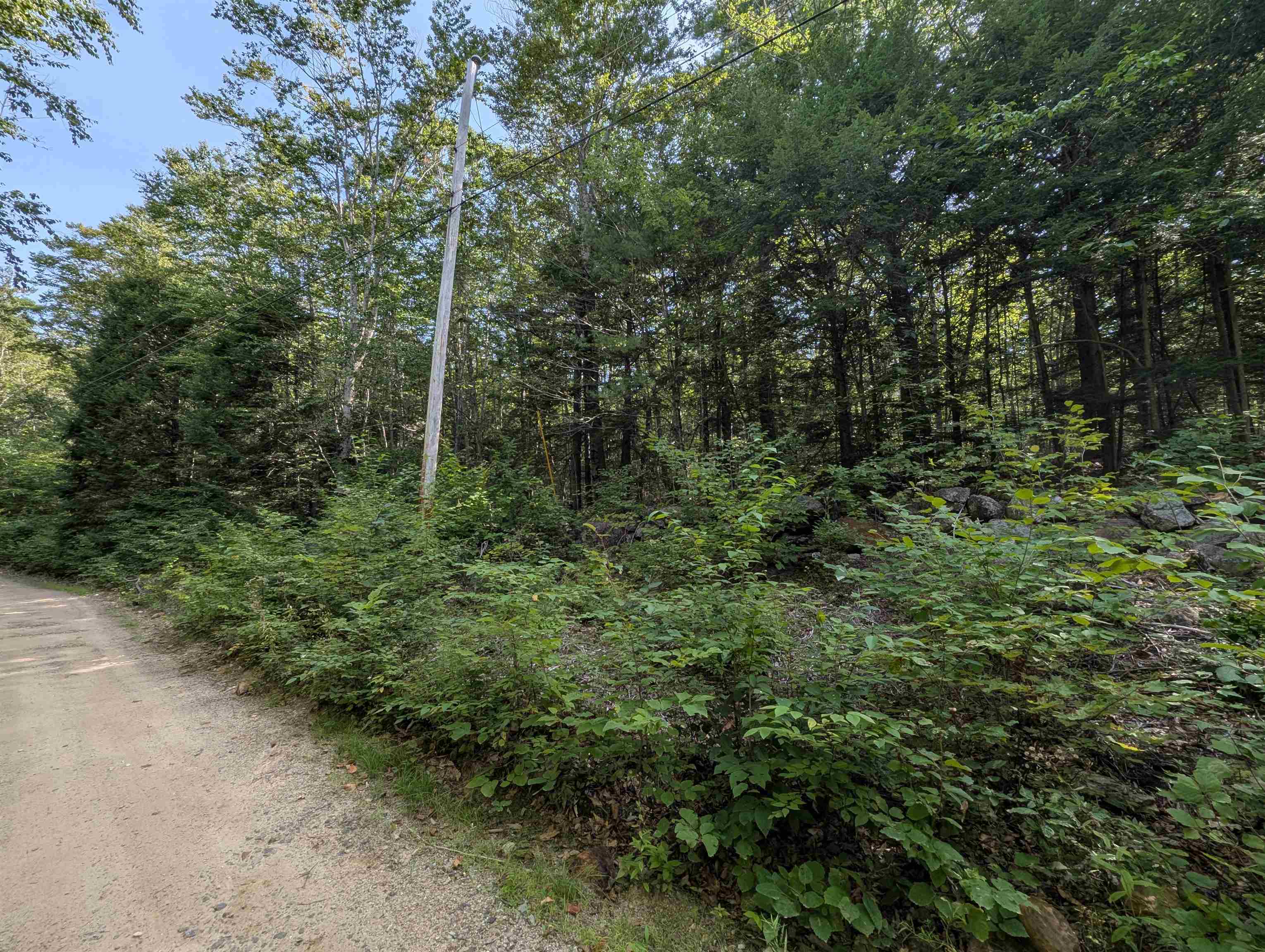 Map 41 Lot 25 Jewett Road