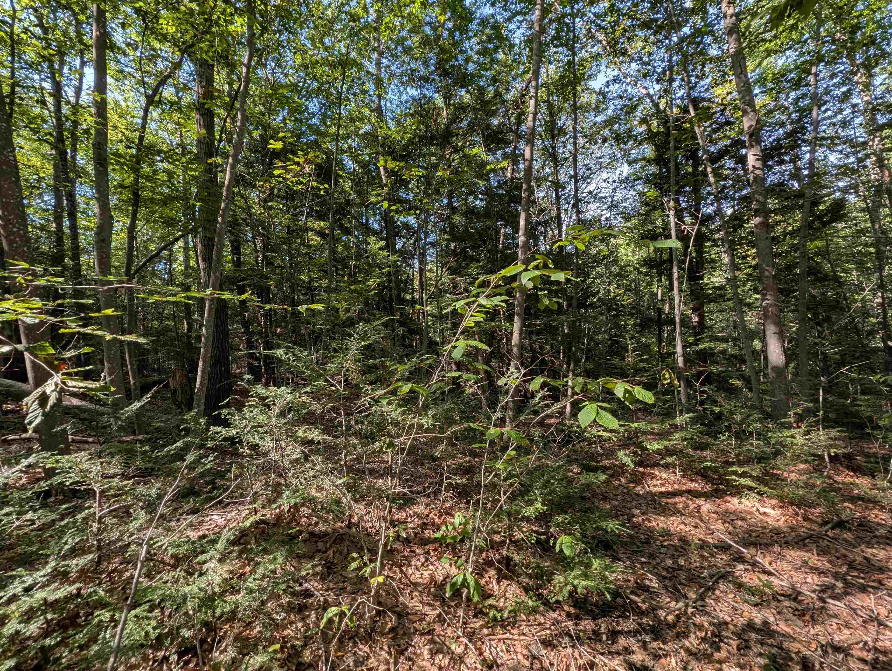 Map 41 Lot 25 Jewett Road