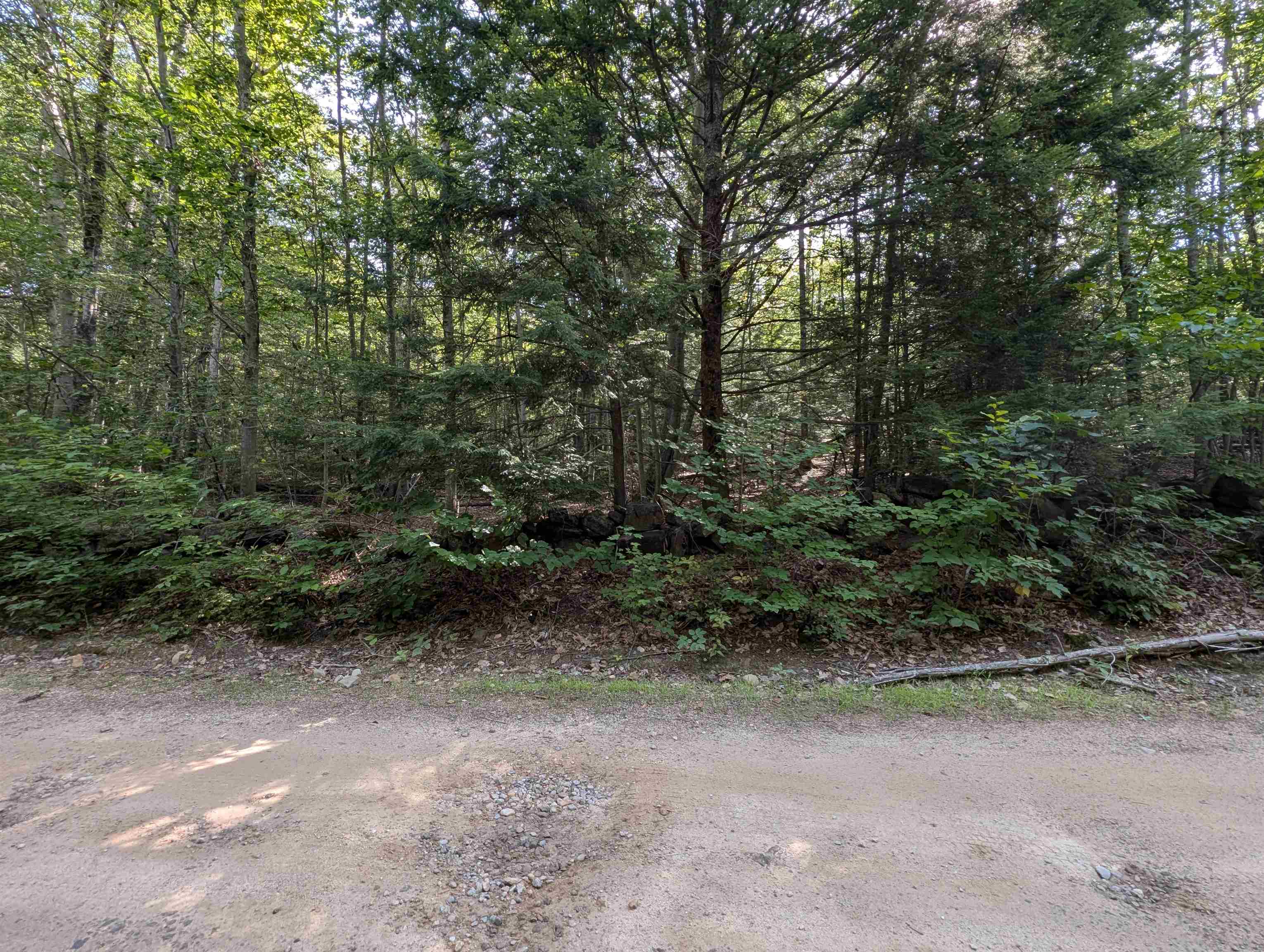 Map 41 Lot 25 Jewett Road