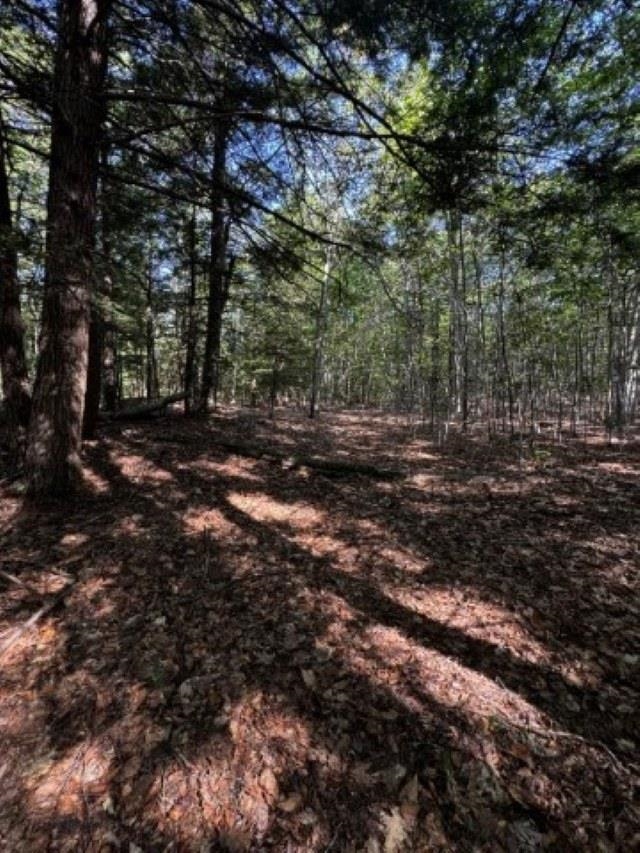 Map 41 Lot 25 Jewett Road