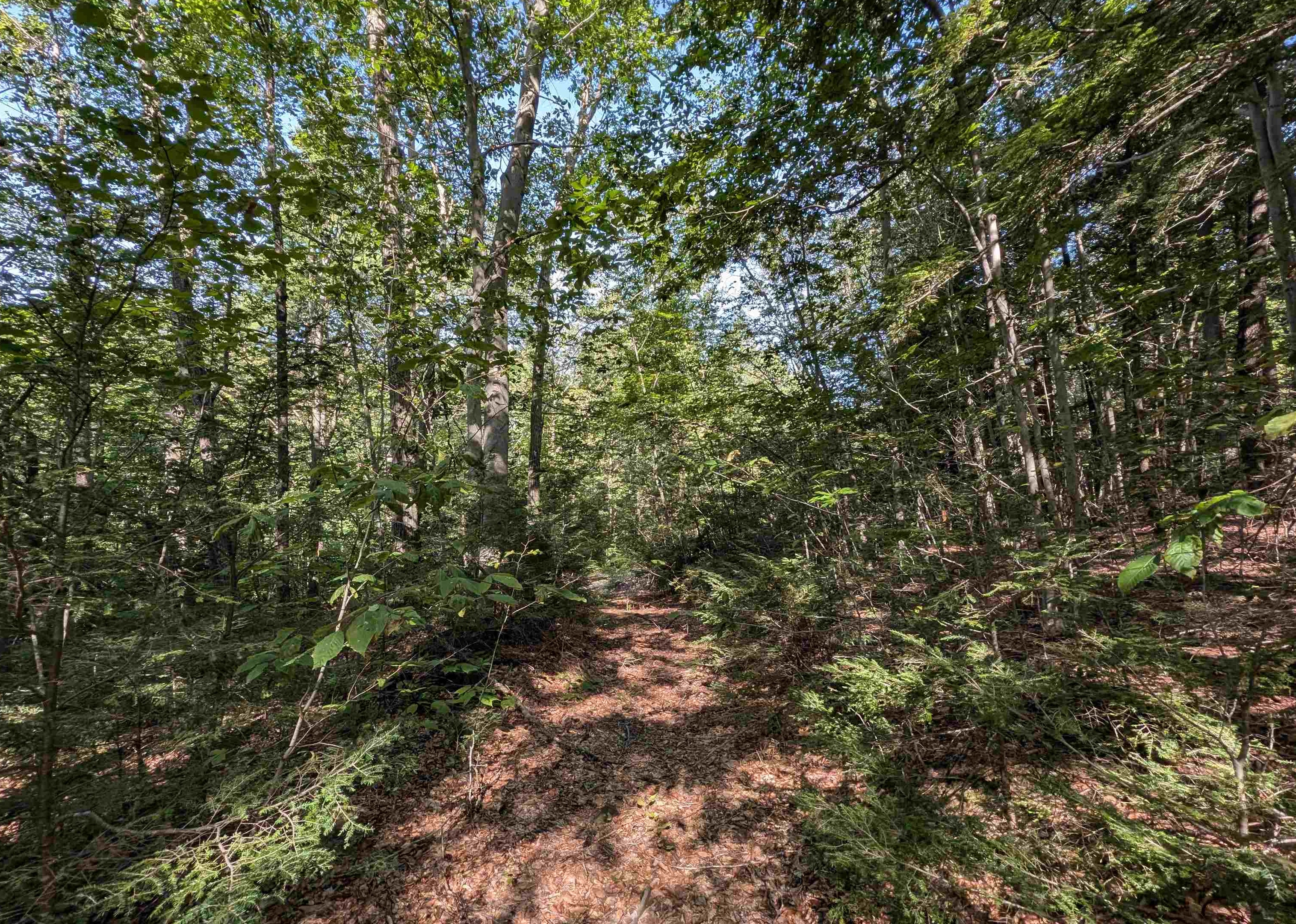 Map 41 Lot 25 Jewett Road