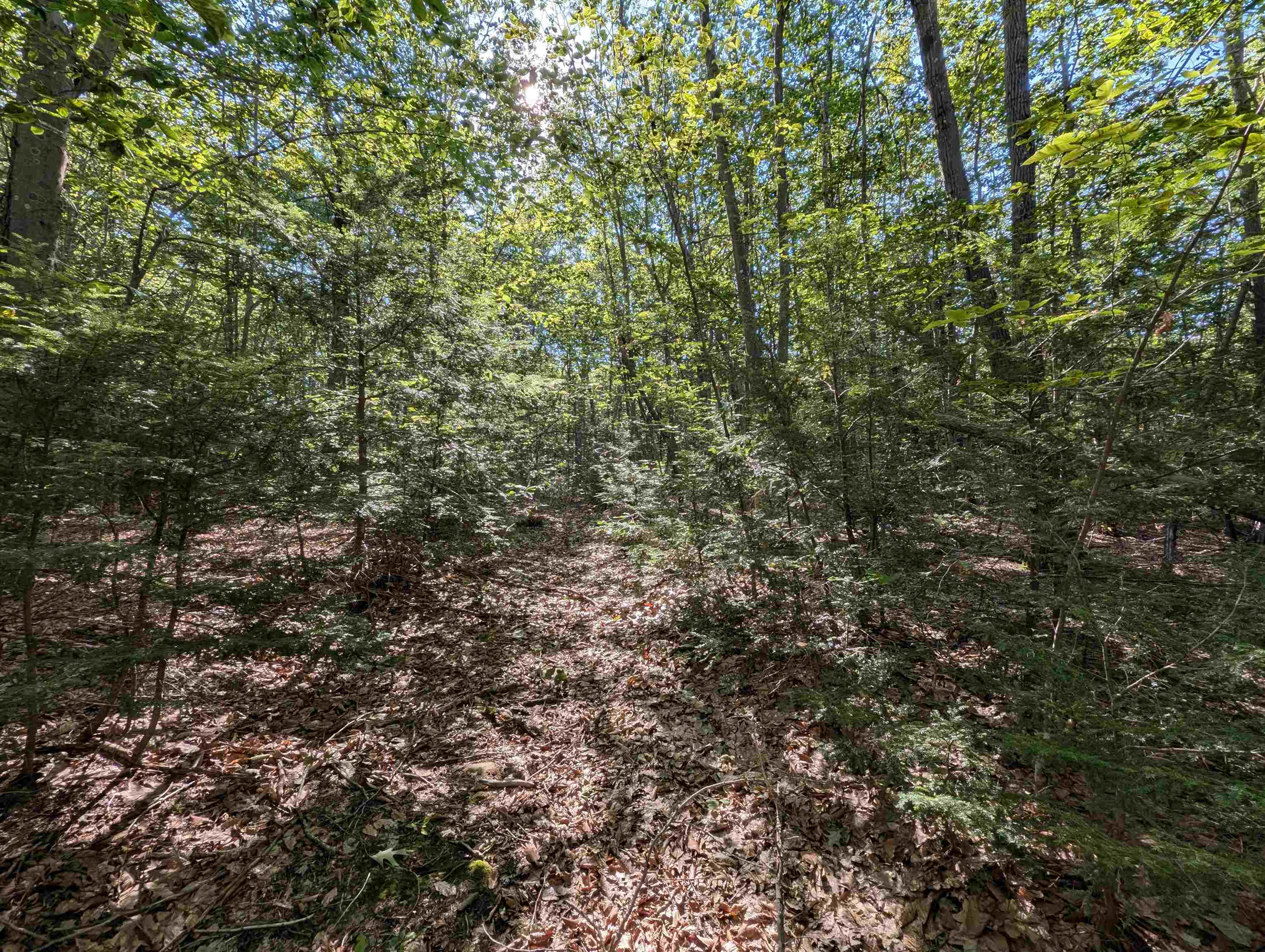 Map 41 Lot 25 Jewett Road