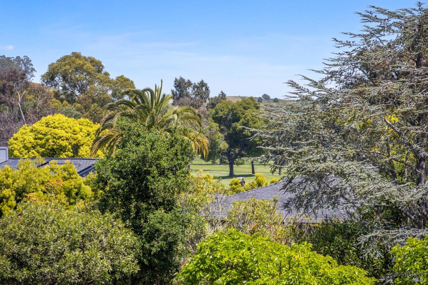 87 Peacock Dr