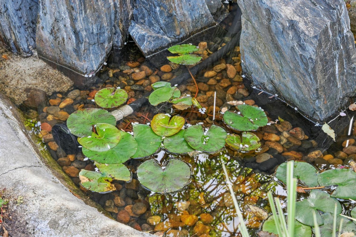 30 Rollingwood Drive