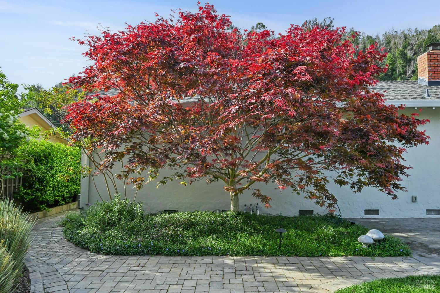 30 Rollingwood Drive