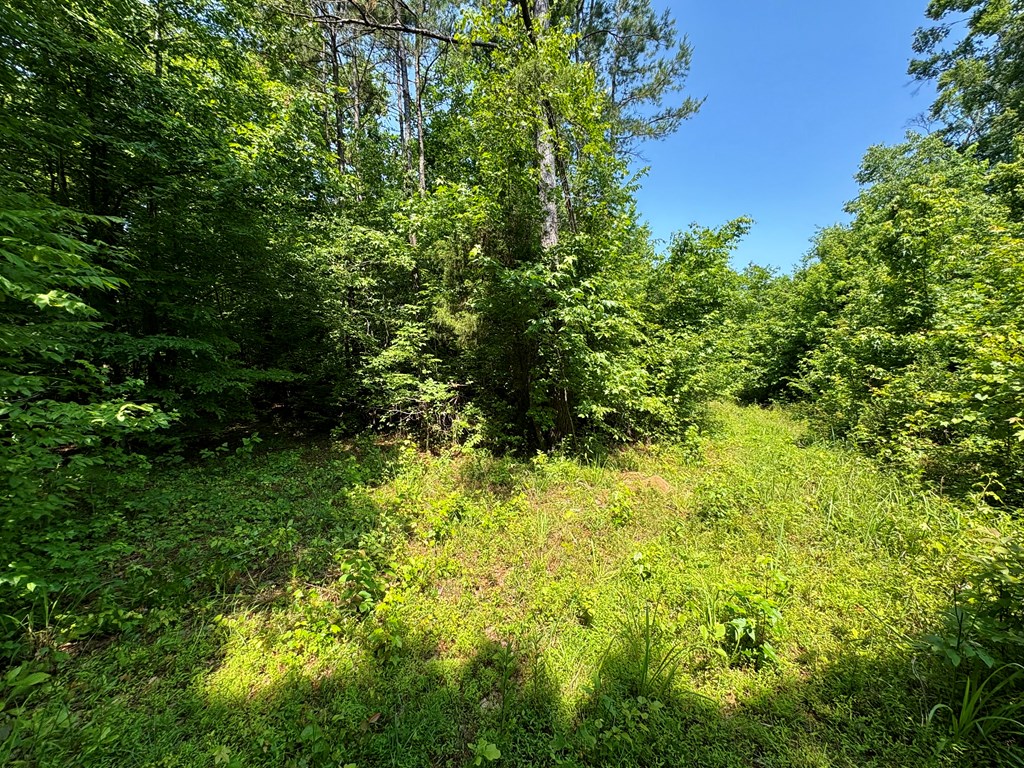 TBD Hwy 32