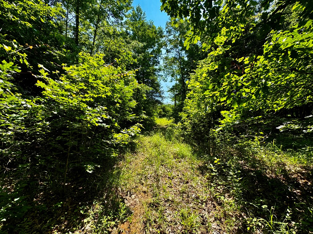 TBD Hwy 32