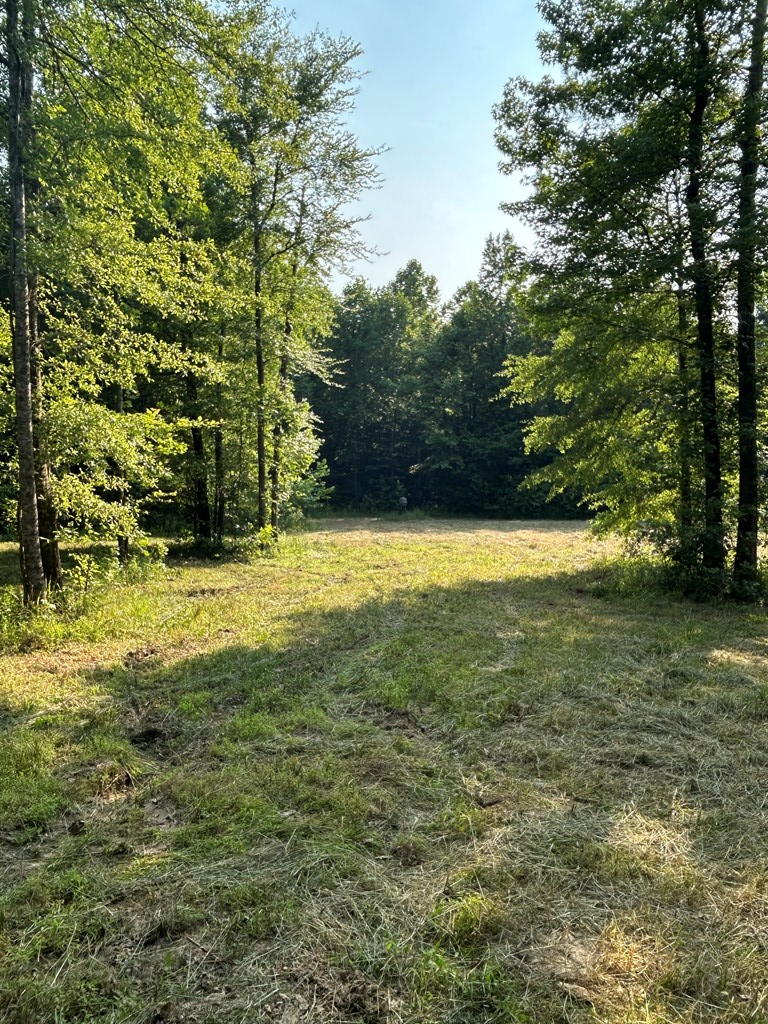 TBD Hwy 32