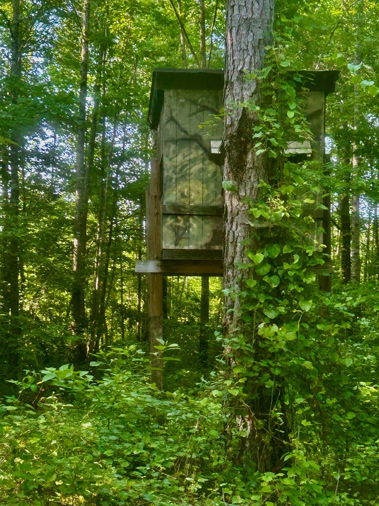TBD Hwy 32