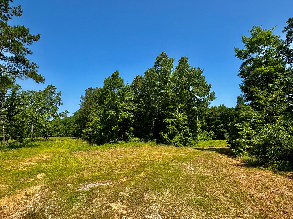 TBD Hwy 32