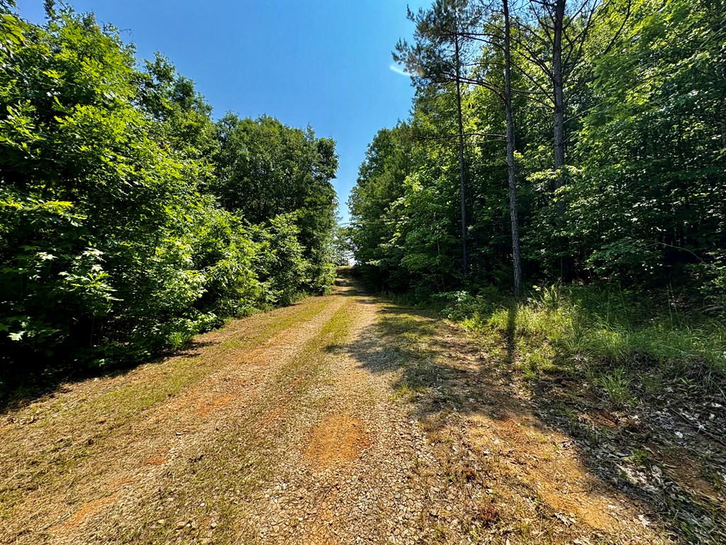 TBD Hwy 32