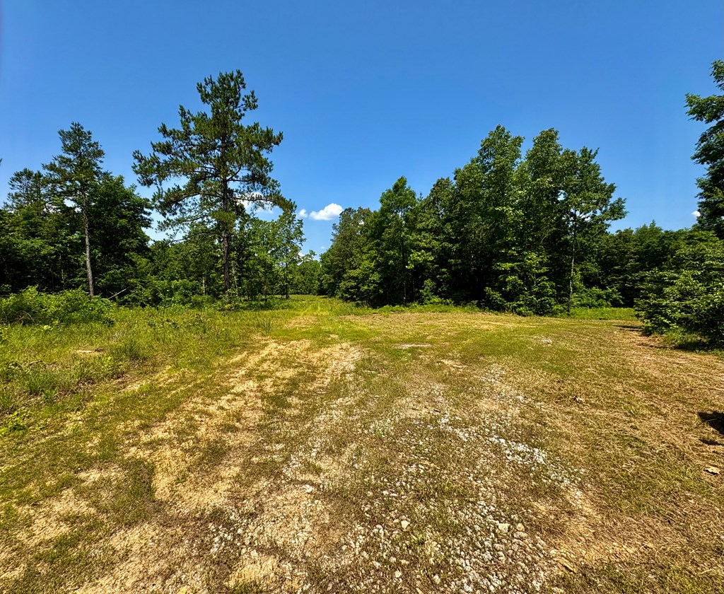 TBD Hwy 32