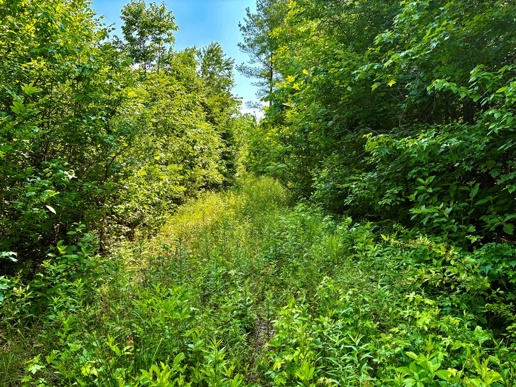 TBD Hwy 32