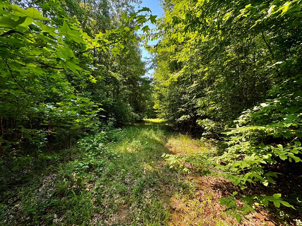 TBD Hwy 32