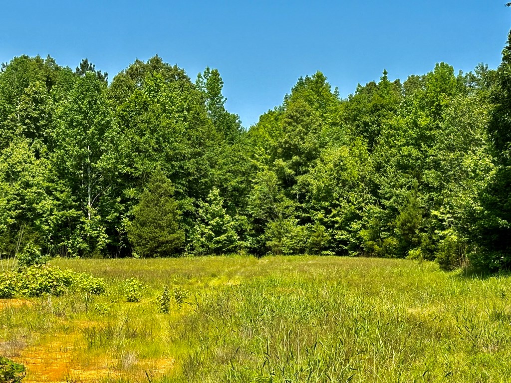 TBD Hwy 32