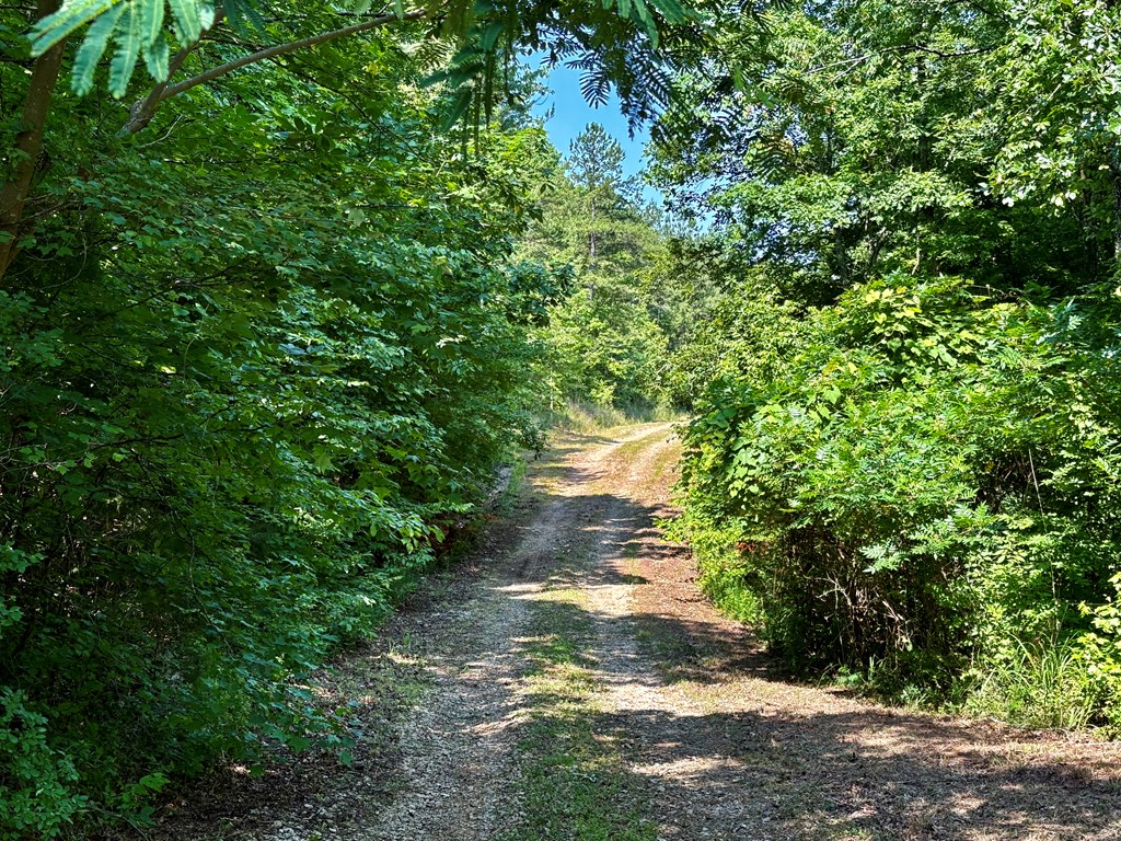 TBD Hwy 32
