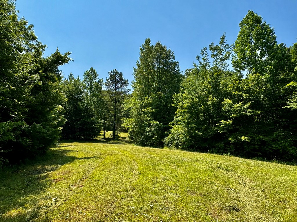 TBD Hwy 32