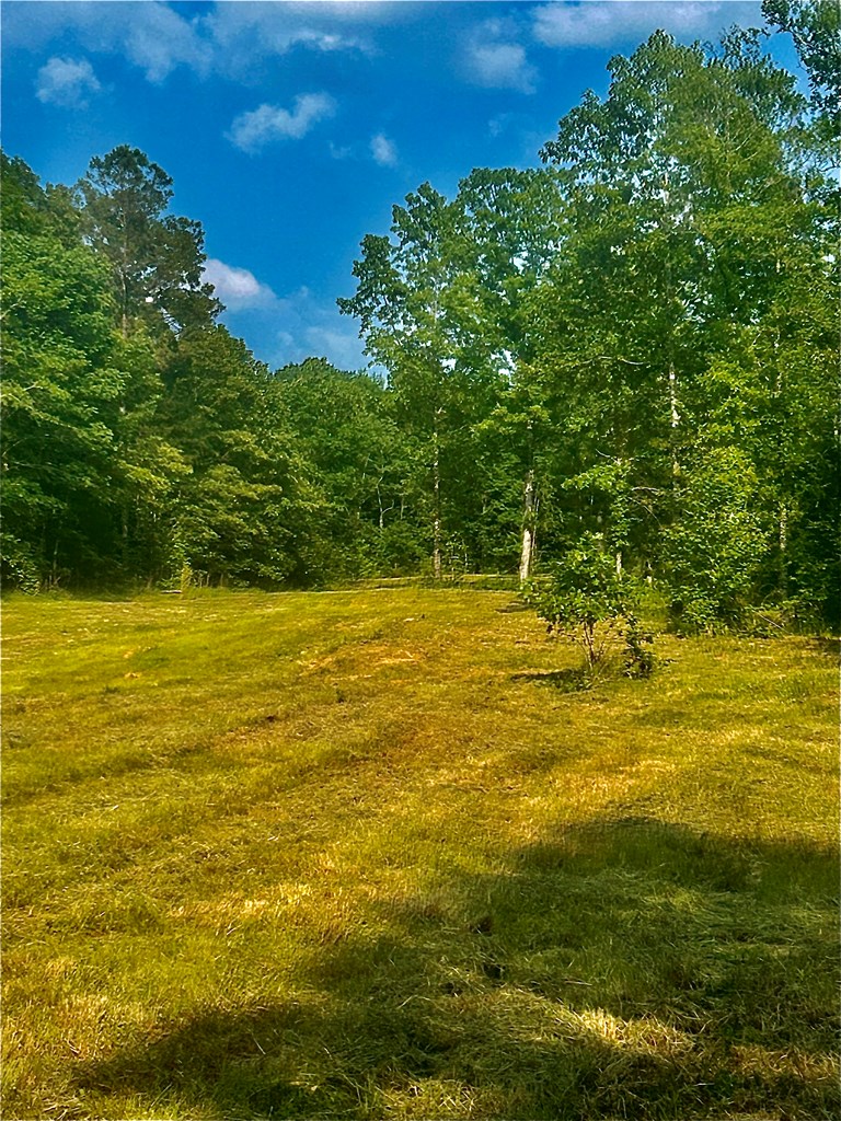TBD Hwy 32
