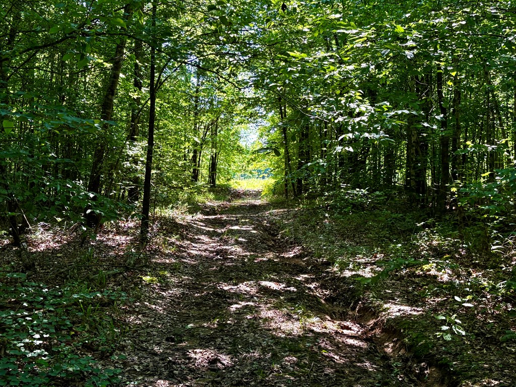 TBD Hwy 32