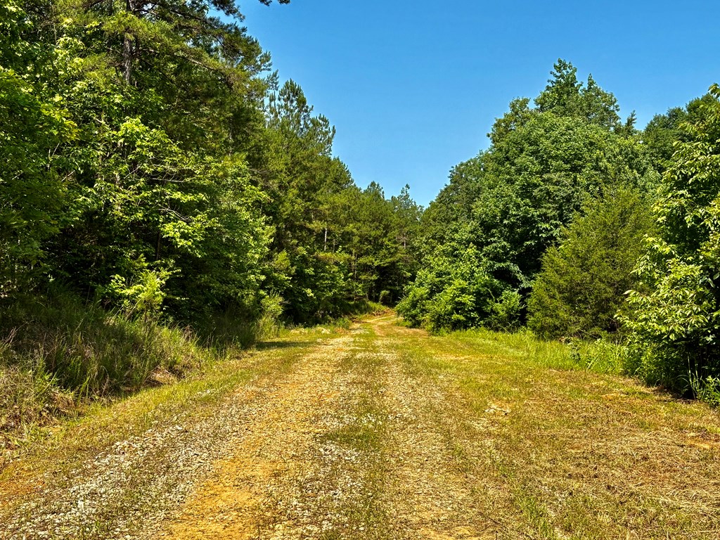TBD Hwy 32