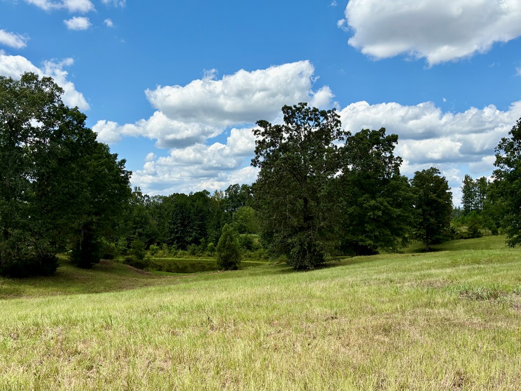 TBD Cr 102 (Old Town Rd)