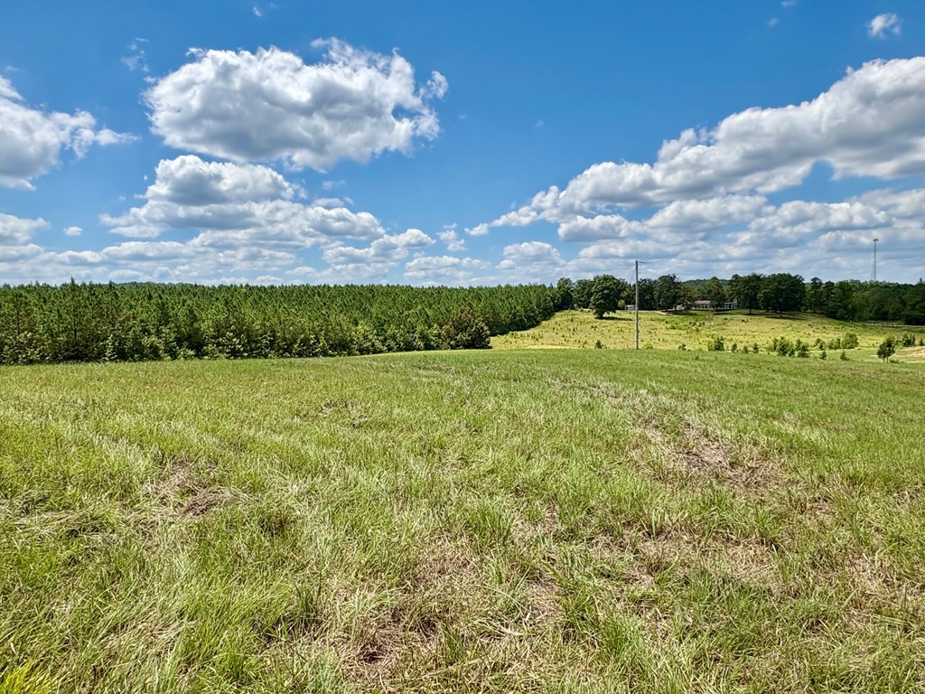 TBD Cr 102 (Old Town Rd)