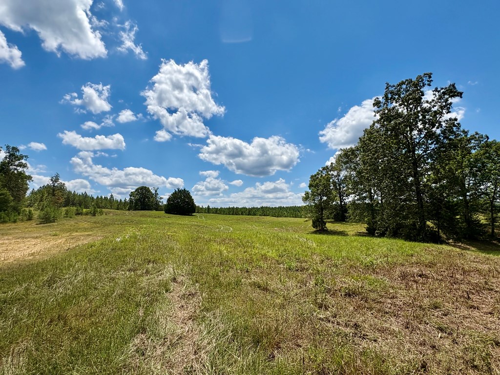 TBD Cr 102 (Old Town Rd)