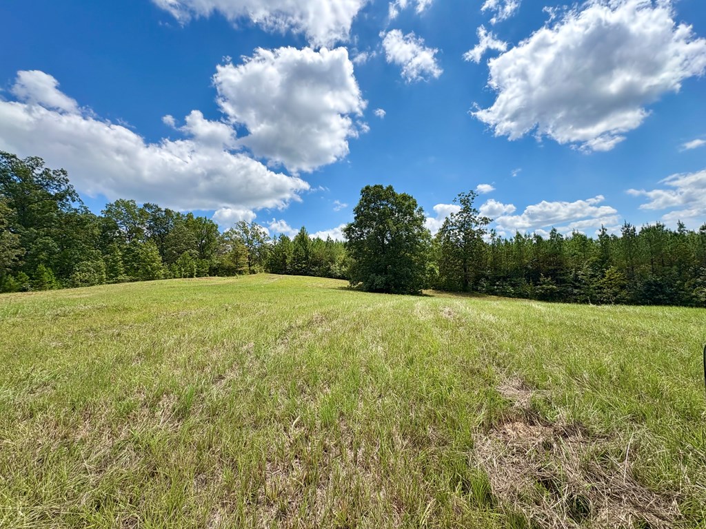 TBD Cr 102 (Old Town Rd)