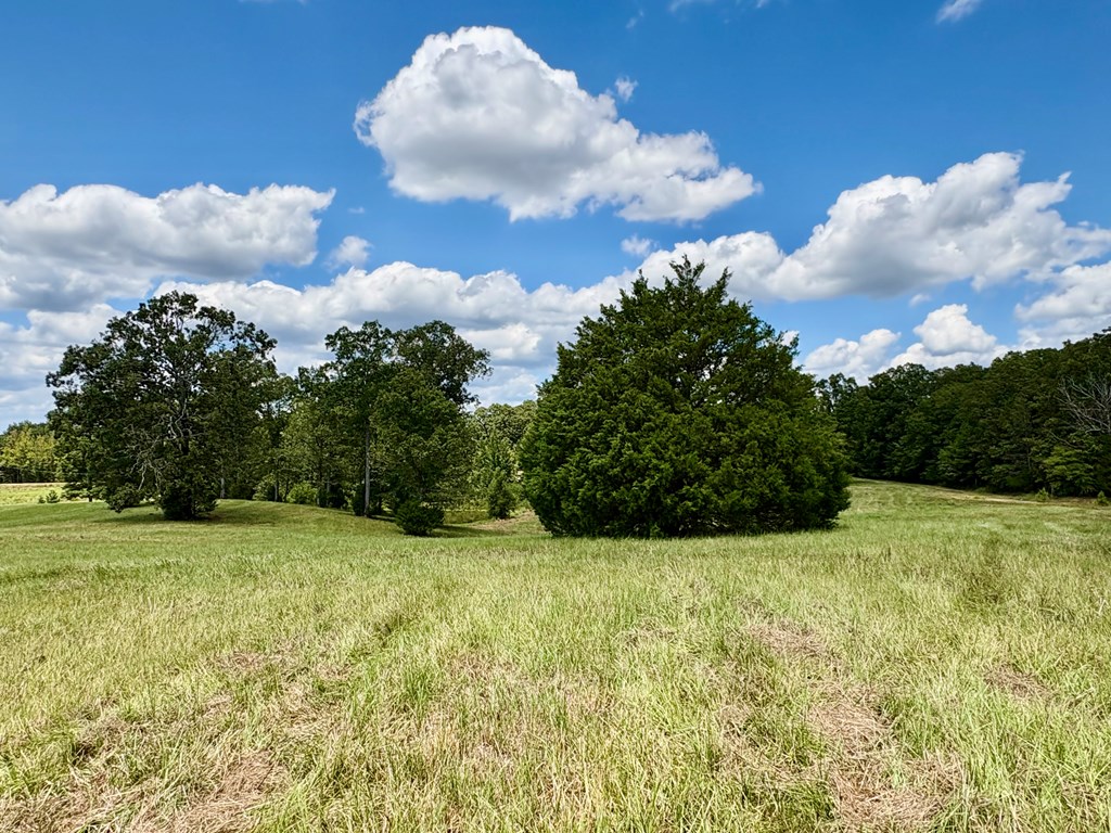 TBD Cr 102 (Old Town Rd)