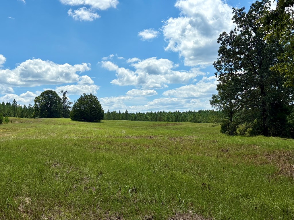 TBD Cr 102 (Old Town Rd)