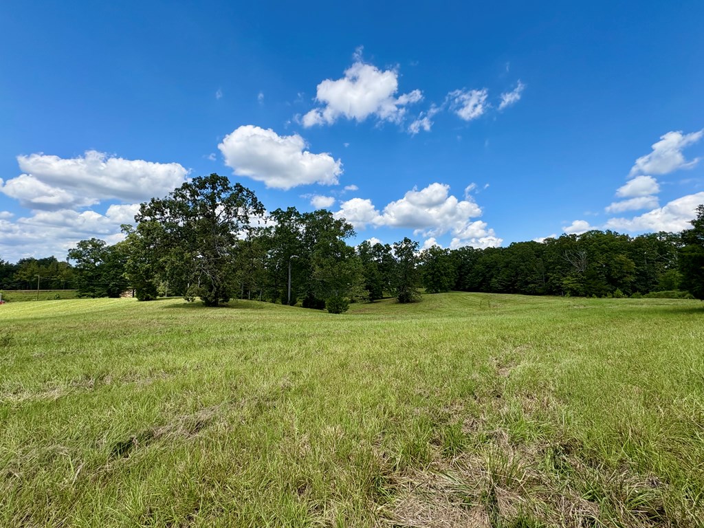 TBD Cr 102 (Old Town Rd)