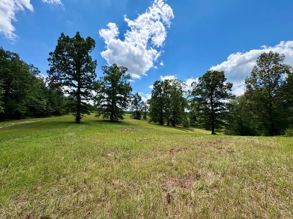 TBD Cr 102 (Old Town Rd)