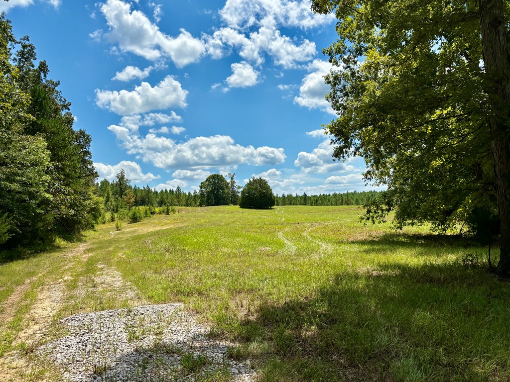 TBD Cr 102 (Old Town Rd)